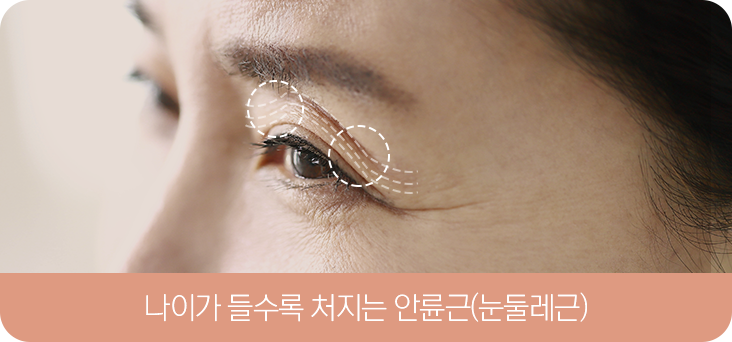 나이가 들수록 처지는 안륜근(눈둘레근) 설명 그림